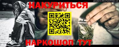 шишки Тулун