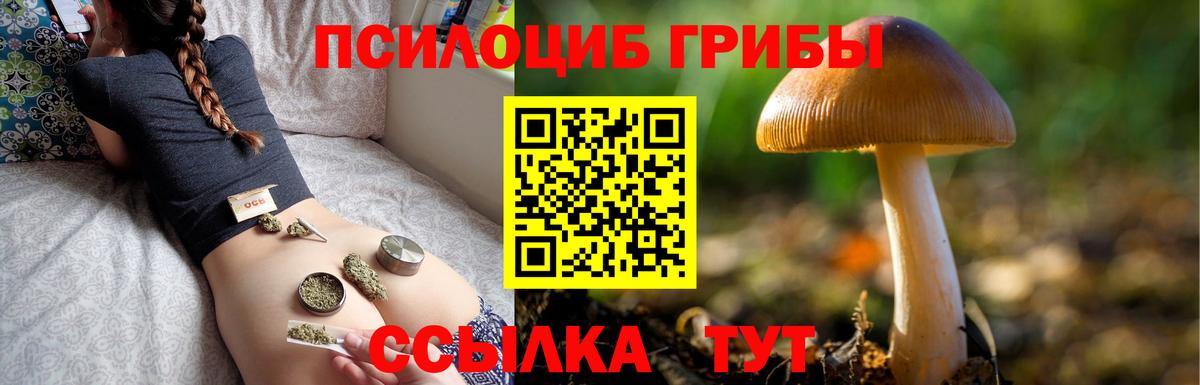 Галлюциногенные грибы Magic Shrooms  Галлюциногенные грибы Magic Shrooms  закладка  Нижнекамск  Вход с VPN 